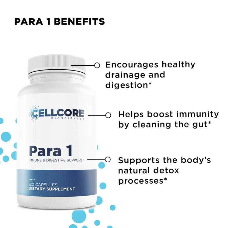 Phase 3: Whole Body Immune Support – CellCore Biosciences
