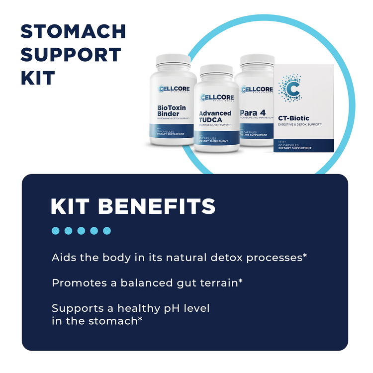 Stomach Support Protocol