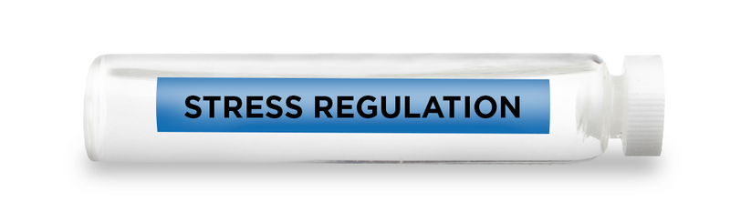 Stress Regulation - Vial