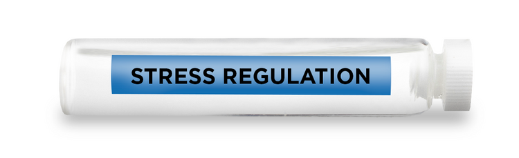 CellCore Stress Regulation Test Vial - PRODUCT