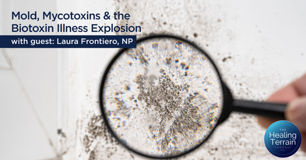Mold, Mycotoxins & the Biotoxin Illness Explosion