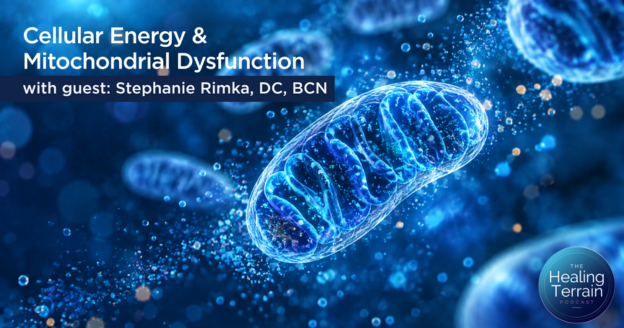 Cellular Energy & Mitochondrial Dysfunction