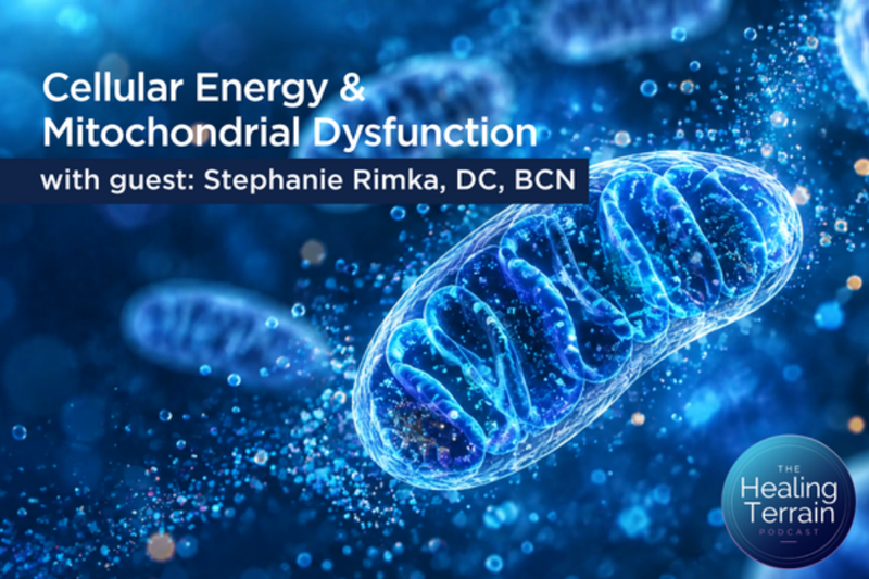 Cellular Energy & Mitochondrial Dysfunction