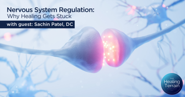 Nervous System Regulation: Why Healing Gets Stuck