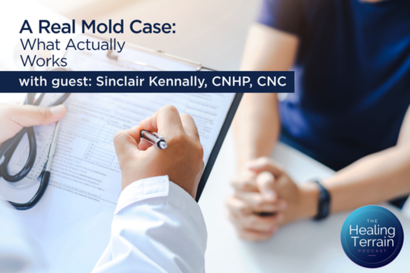 A Real Mold Case: What Actually Works