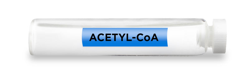 ACETYL-CoA -Vial