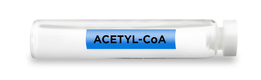 ACETYL-CoA Test Vial Feature Image