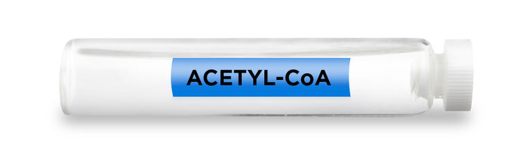 ACETYL-CoA Test Vial Feature Image