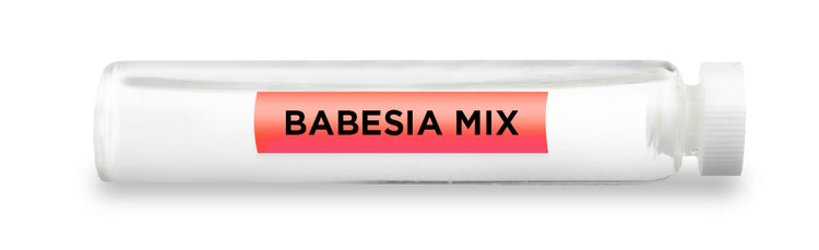 BABESIA MIX Test Vial Feature Image