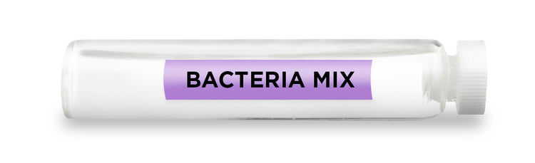 BACTERIA MIX Test Vial Feature Image