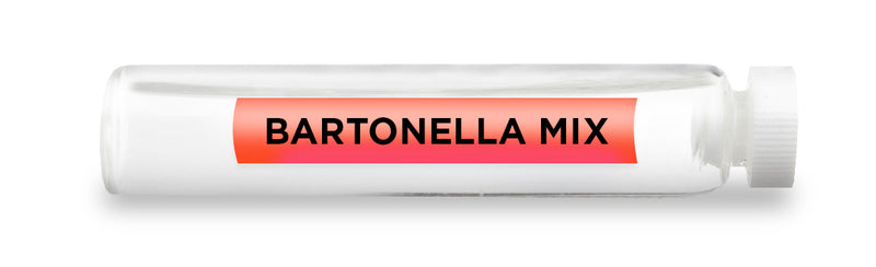 BARTONELLA MIX -Vial