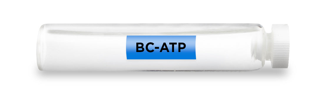 BC-ATP FEATURE IMAGE