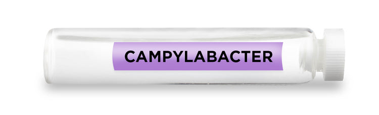 CAMPYLABACTER Test Vial Feature Image