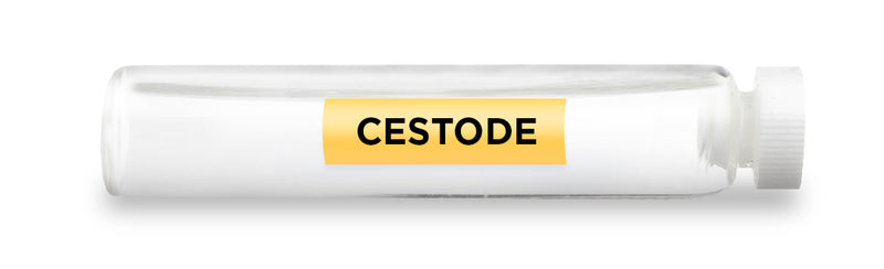CESTODE -Vial