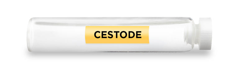 CESTODE Test Vial Feature Image