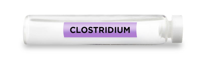 CLOSTRIDIUM -Vial