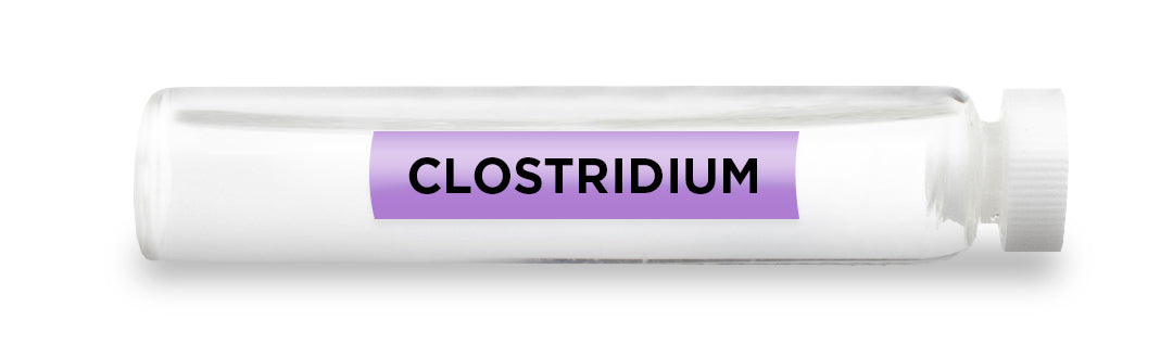 CLOSTRIDIUM Test Vial Feature Image
