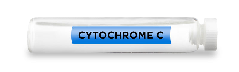 CYTOCHROME C -Vial