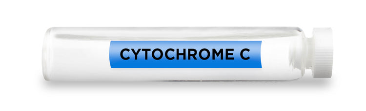 CYTOCHROME C Test Vial Feature Image