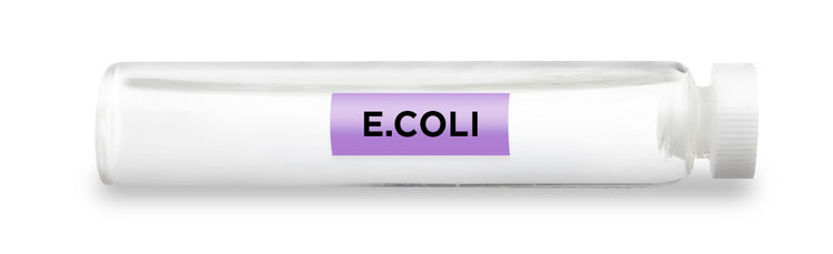 E.COLI Test Vial Feature Image