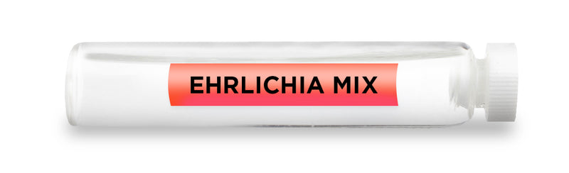EHRLICHIA MIX -Vial