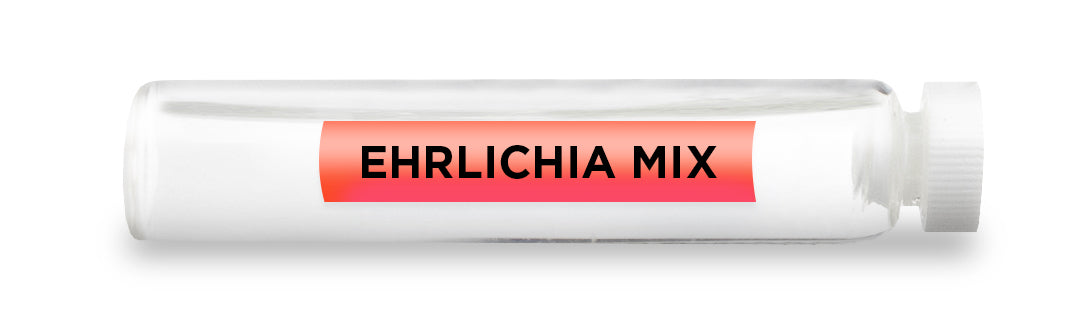 EHRLICHIA MIX Test Vial Feature Image