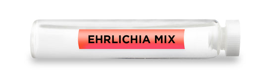 EHRLICHIA MIX Test Vial Feature Image