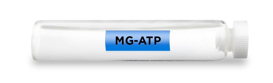 MG-ATP Test Vial Feature Image