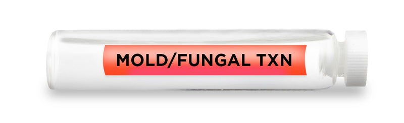 MOLD/FUNGAL TXN -Vial