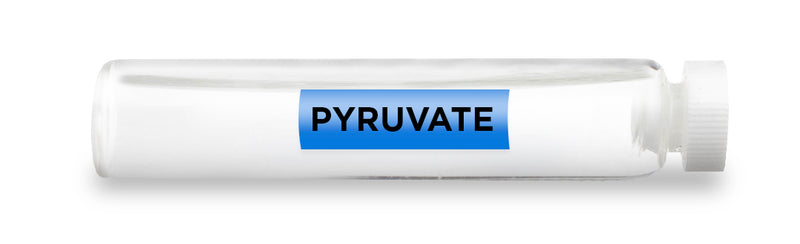 PYRUVATE -Vial