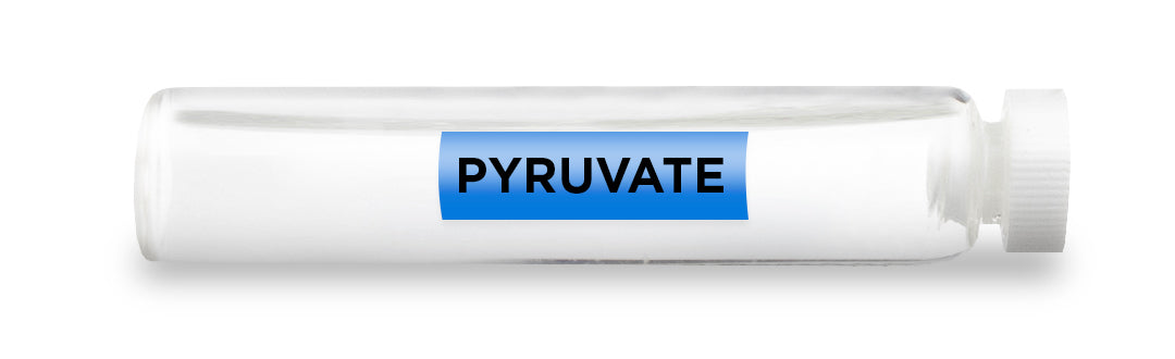 PYRUVATE Test Vial Feature Image