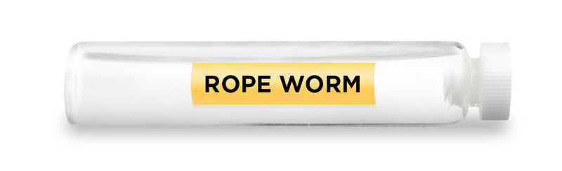 ROPE WORM -Vial