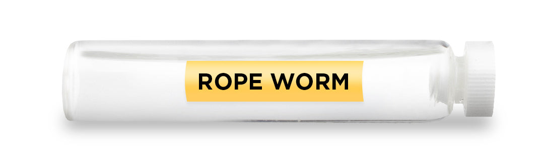 ROPE WORM Test Vial Feature Image