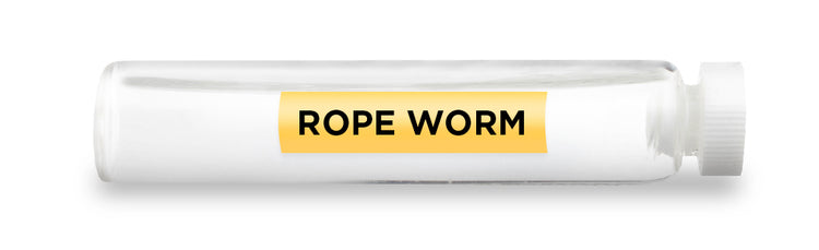 ROPE WORM Test Vial Feature Image