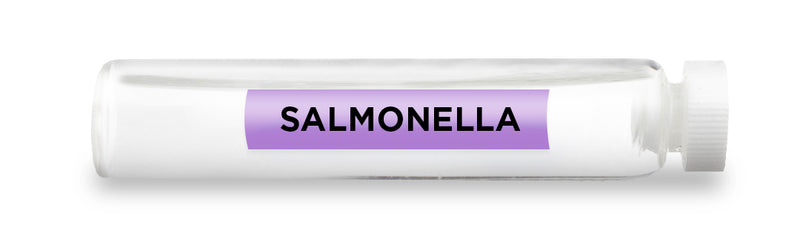 SALMONELLA -Vial