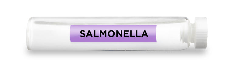 SALMONELLA Test Vial Feature Image