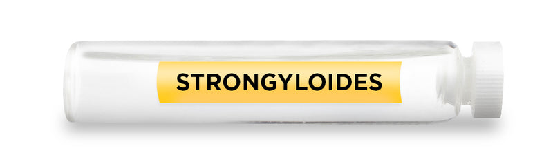 STRONGYLOIDES -Vial