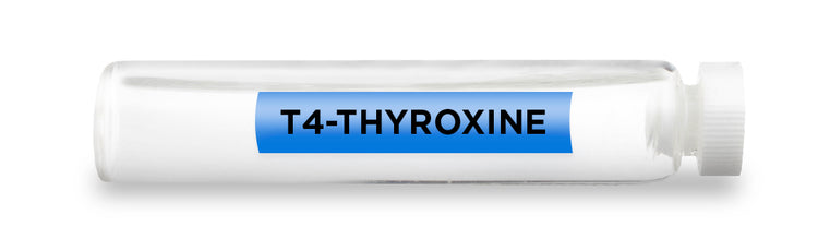 T4-THYROXINE Test Vial Feature Image