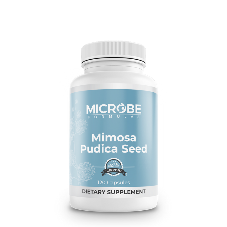 Mimosa Pudica Seed †