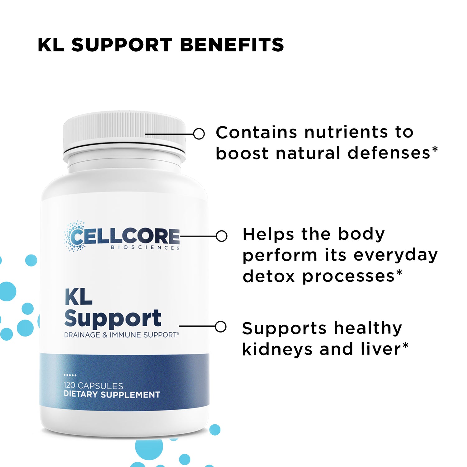KL Support Benefits