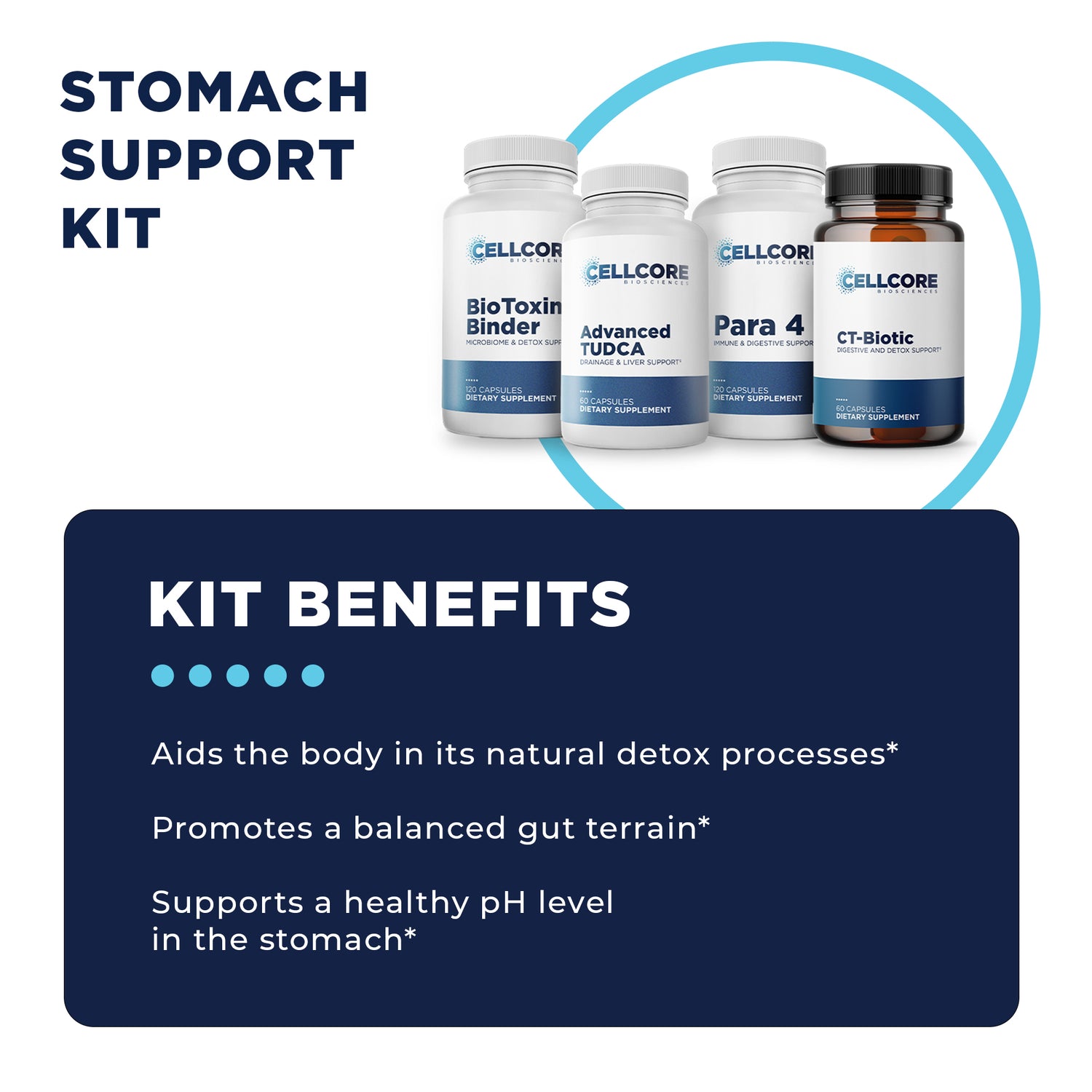 Stomach Support Kit Benefits