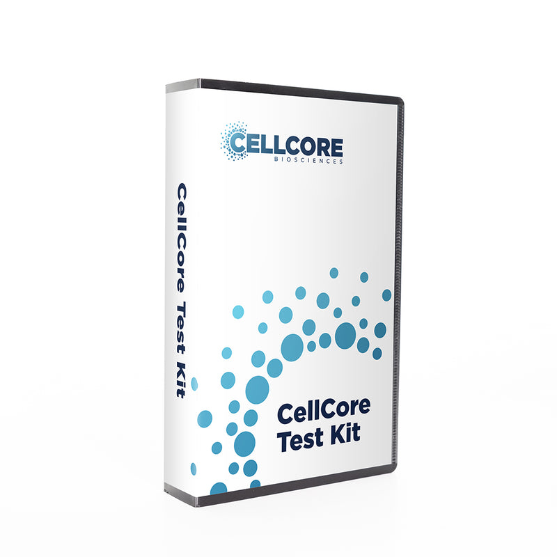Test Vial Case - Holds 60