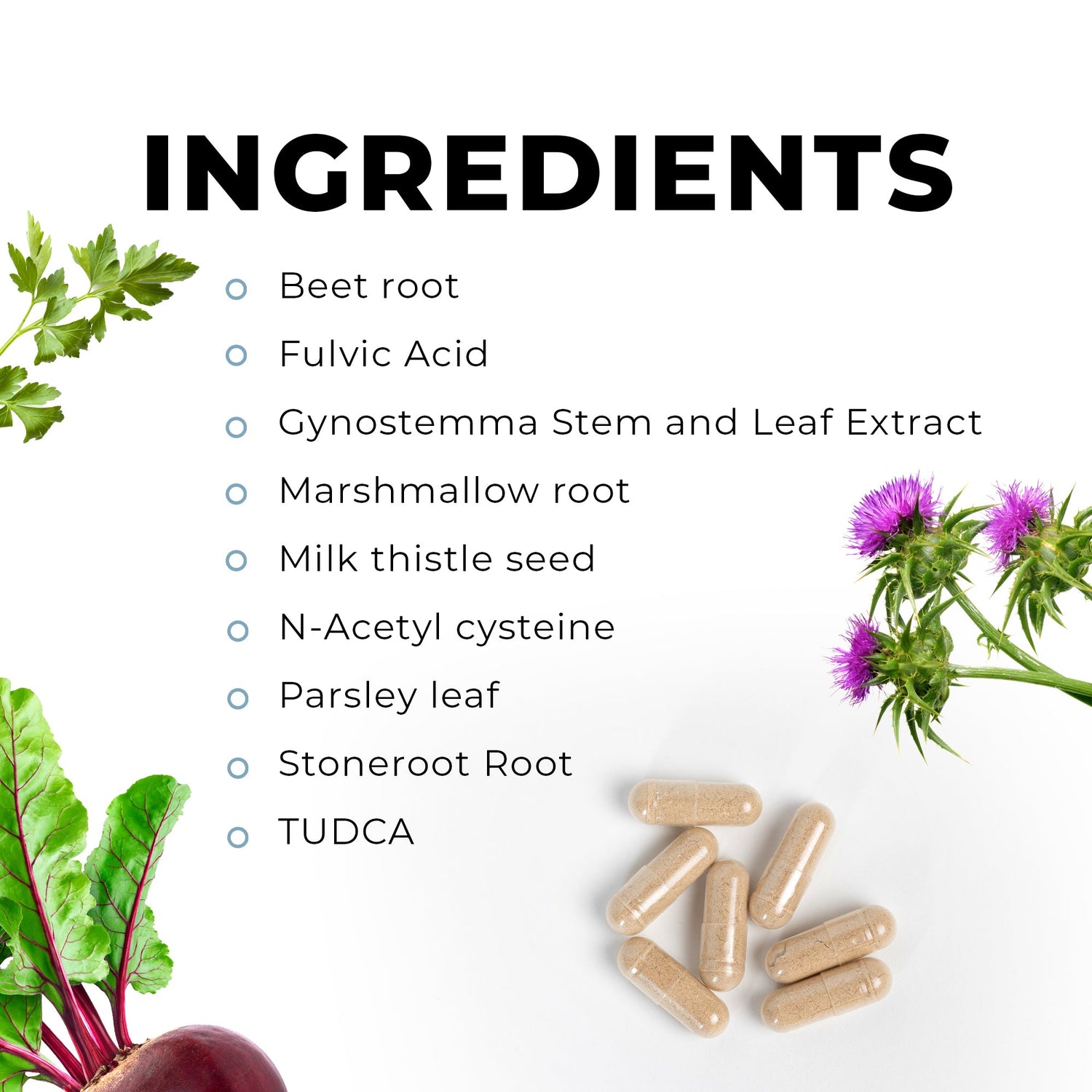 TUDCA Complete Ingredients